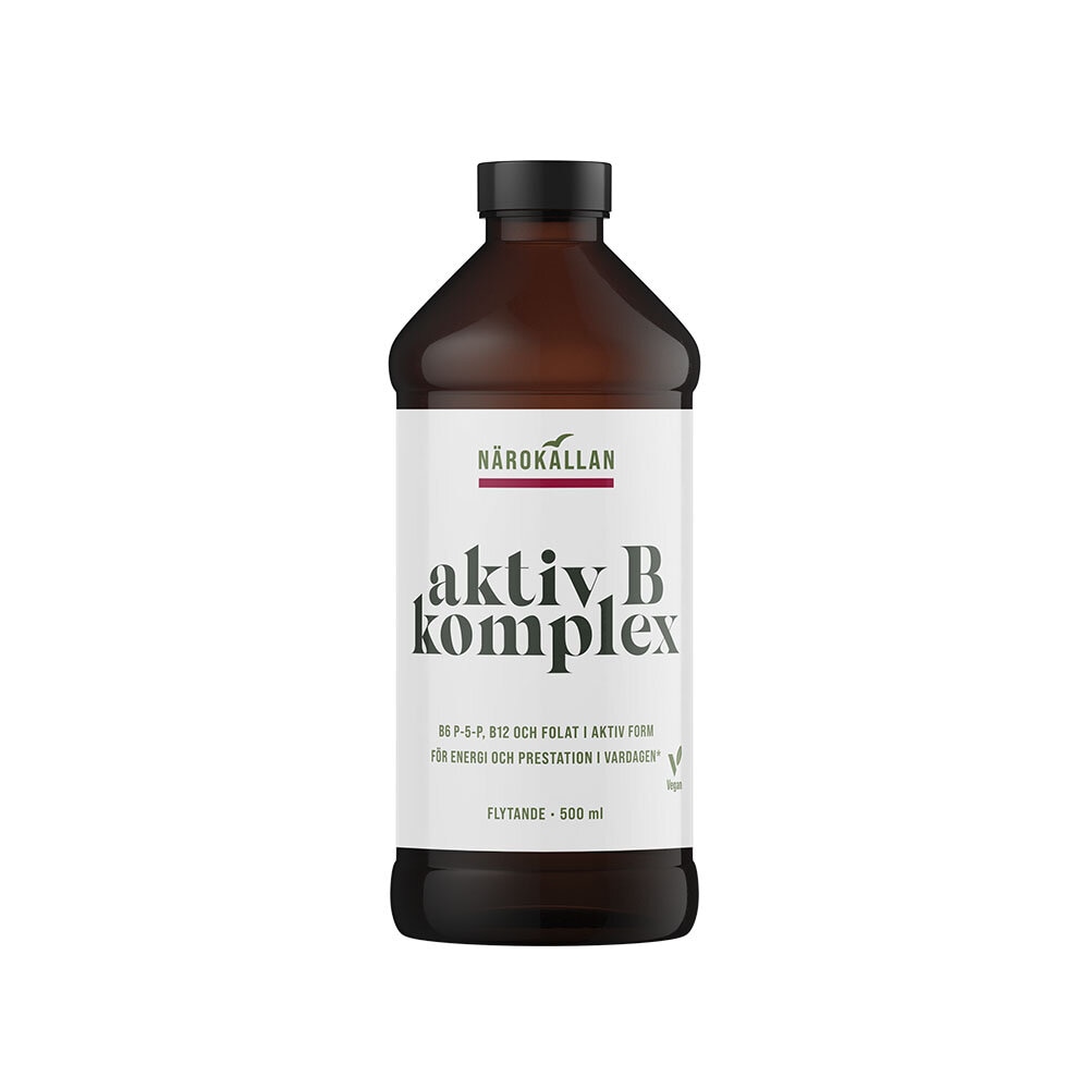 Aktiv B Komplex 500ml