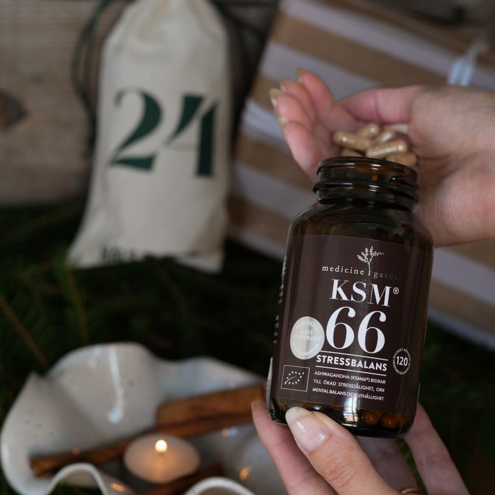 Hälsokraft adventskalender 2025