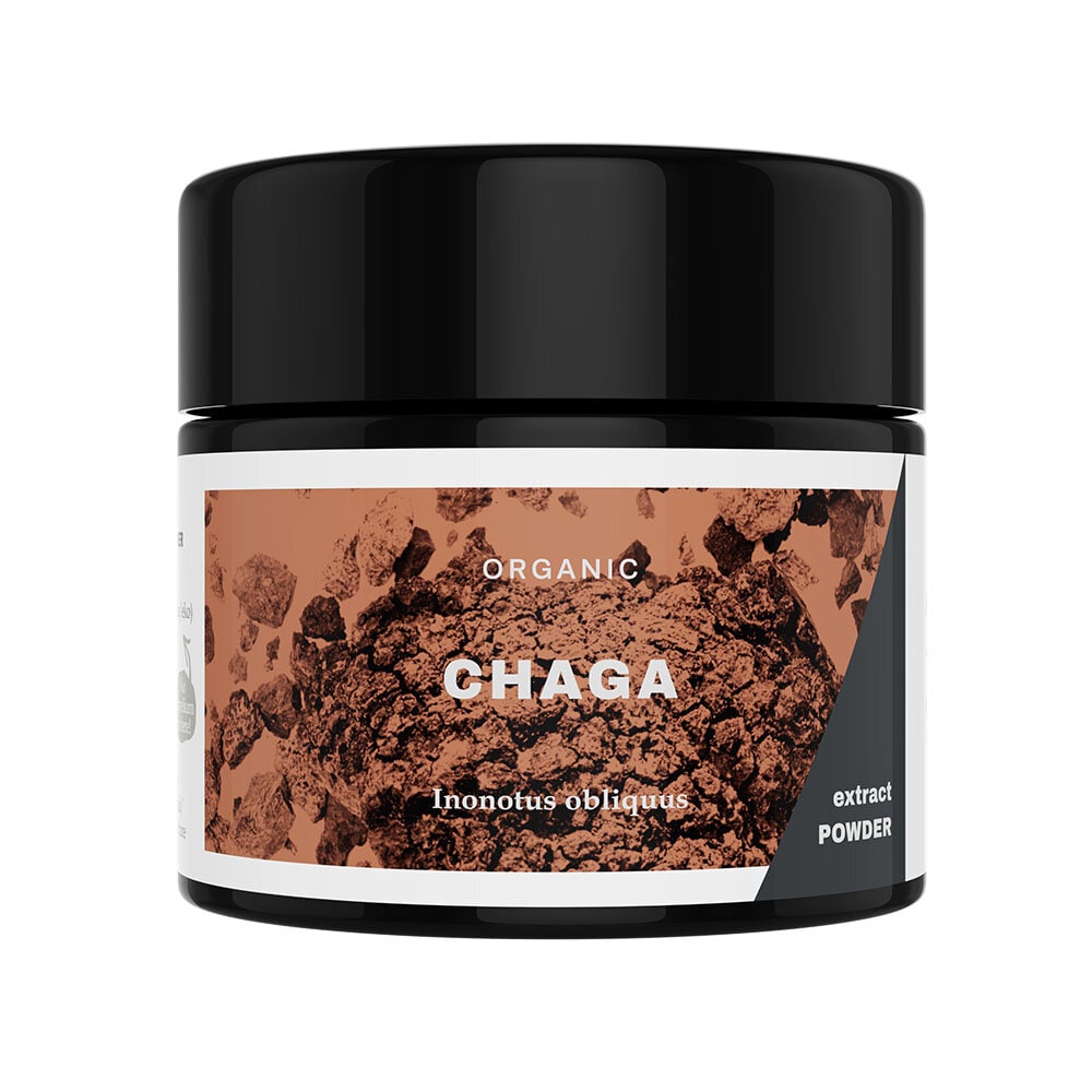 Chaga Extract Powder 30g