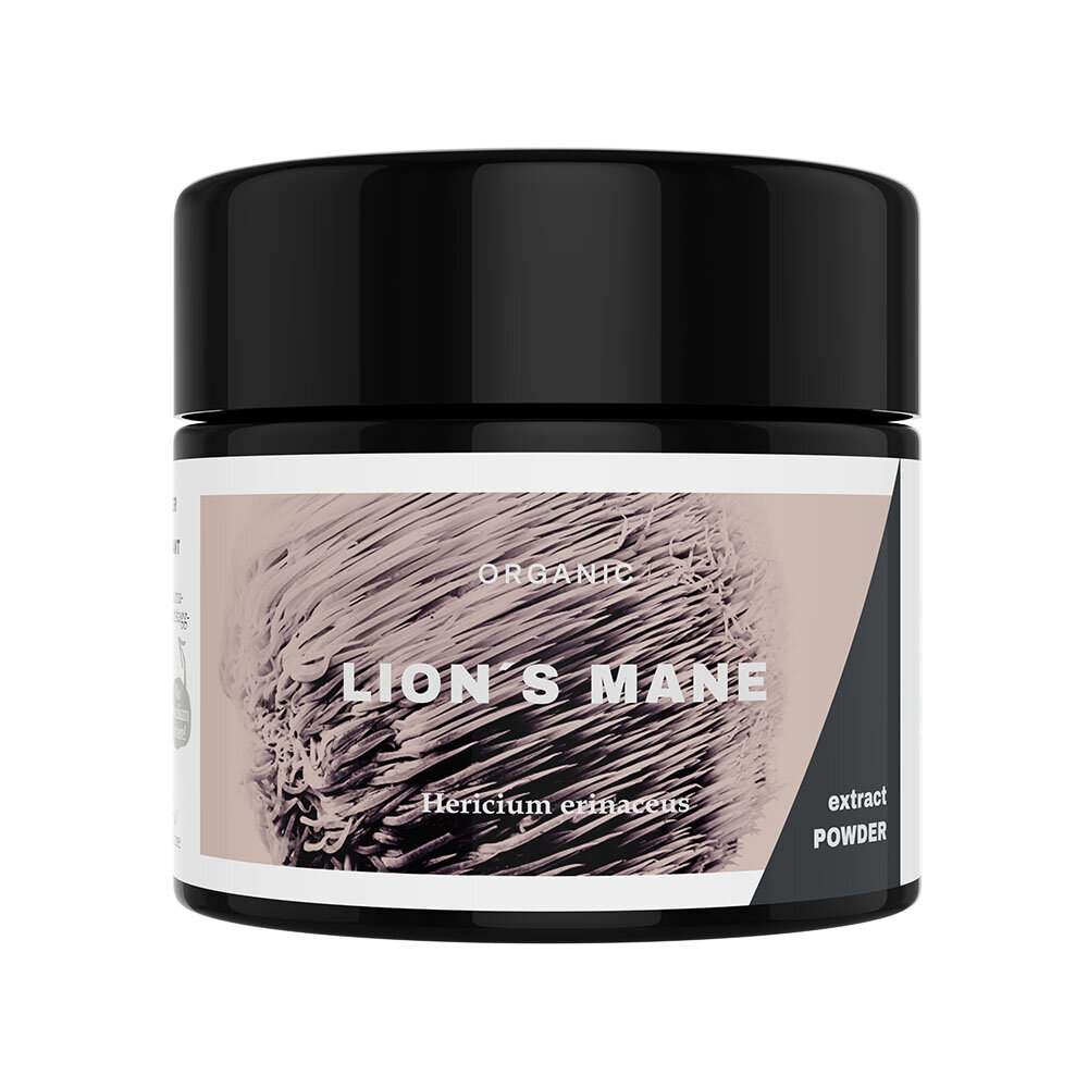 Lion's Mane Extract Powder 30g