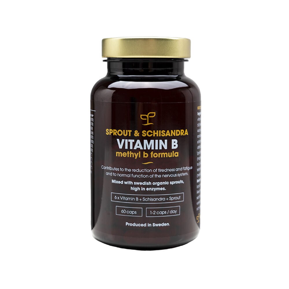 Vitamin B + Schisandra Sprout 60 kapslar
